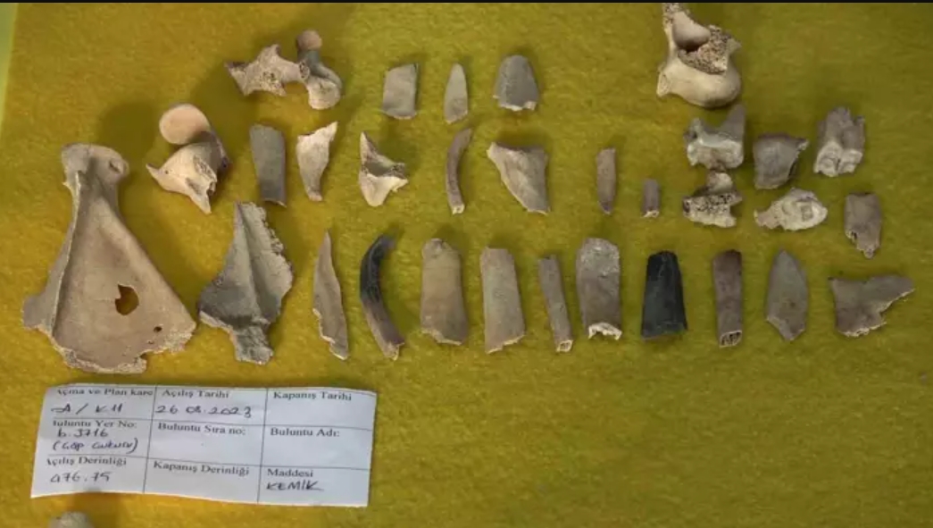 Археологи в Турции нашли горшок с 2500-летним блюдом древних персов (фото)